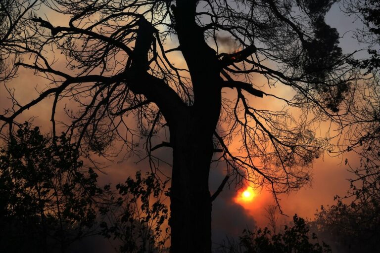 Los incendios forestales arrasan Europa del Este