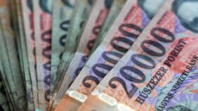 forint insurance loan