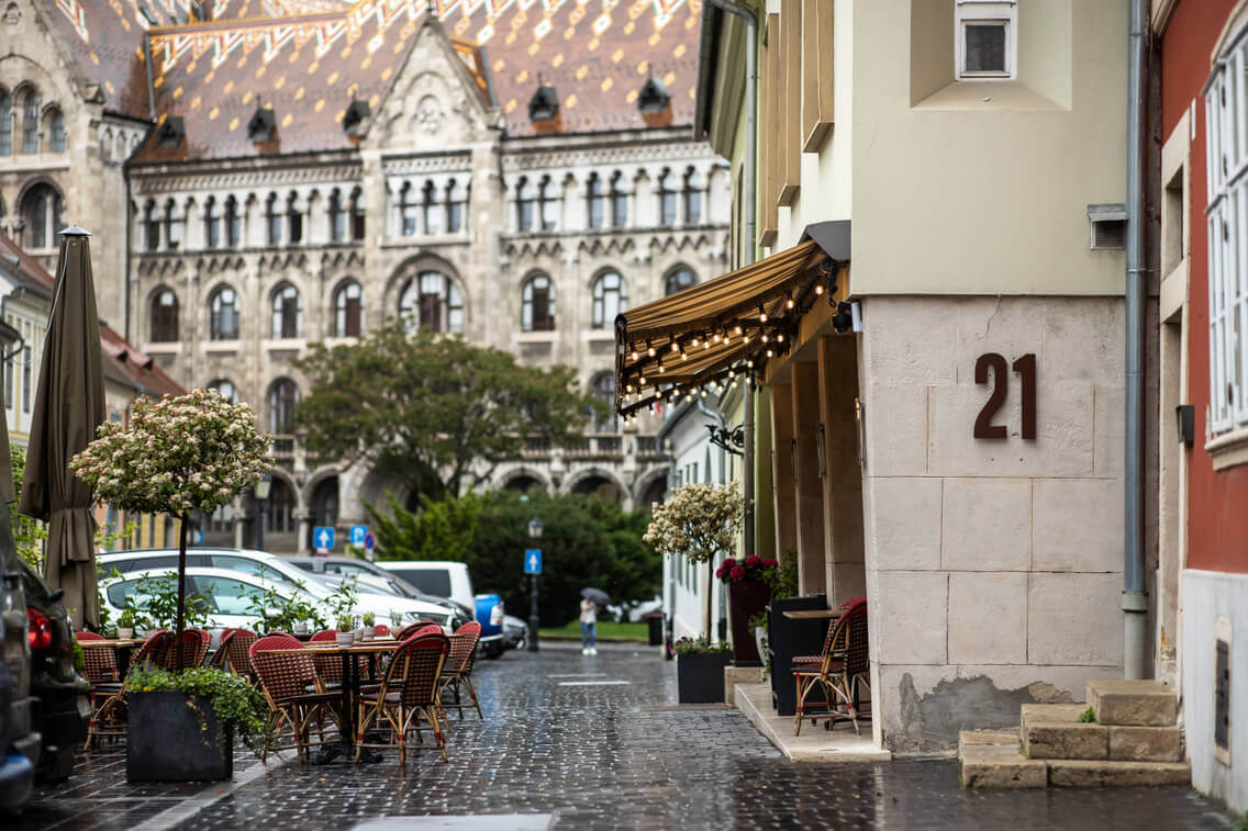 Bear stew 21 Hungarian restaurant Hungarian cuisine Hungarian dishes