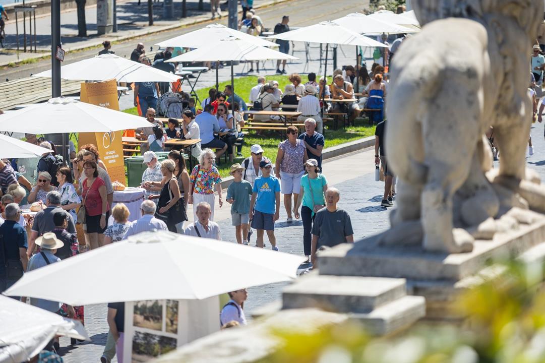 Budapest 20 August festivities