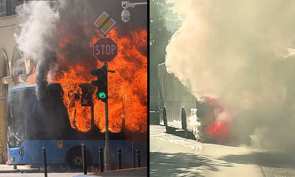 Budapest public transport buses
