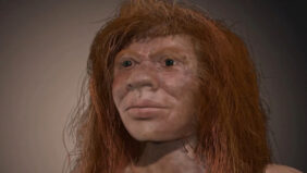 Denny Neanderthal Denisovan hybrid