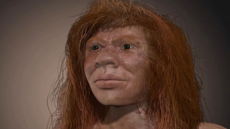 Denny Neanderthal Denisovan hybrid