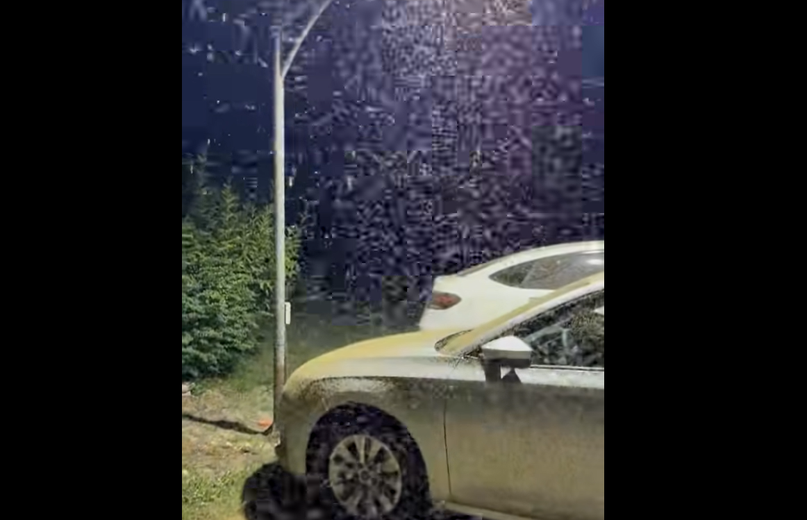 Lake Balaton midge infestation pest control residents impact