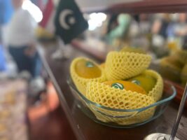 Mango Tasting Event by the Embassy of Pakistan, Budapest
