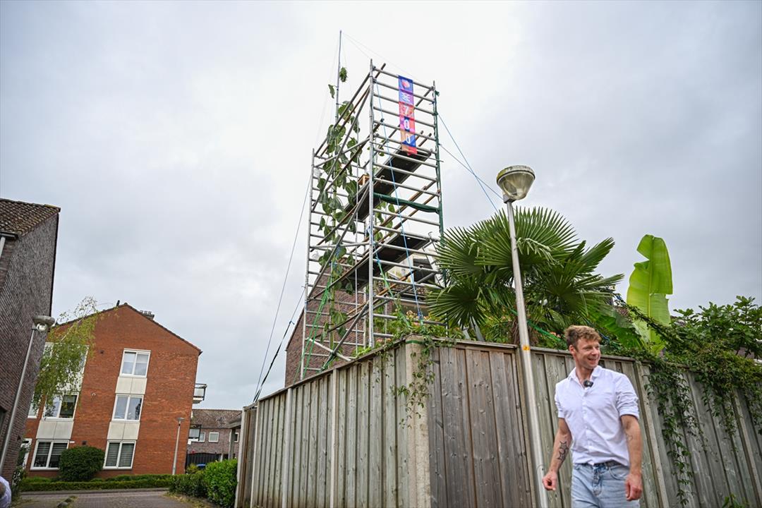 One of the tallest sunflowers in History