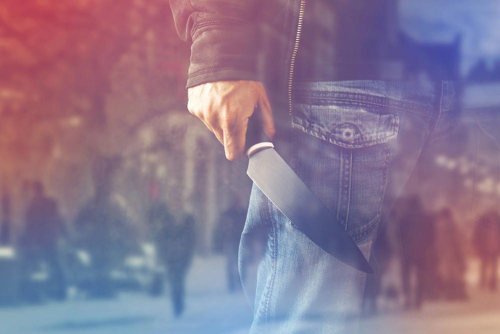 Ozora festival stabbing Israelis
