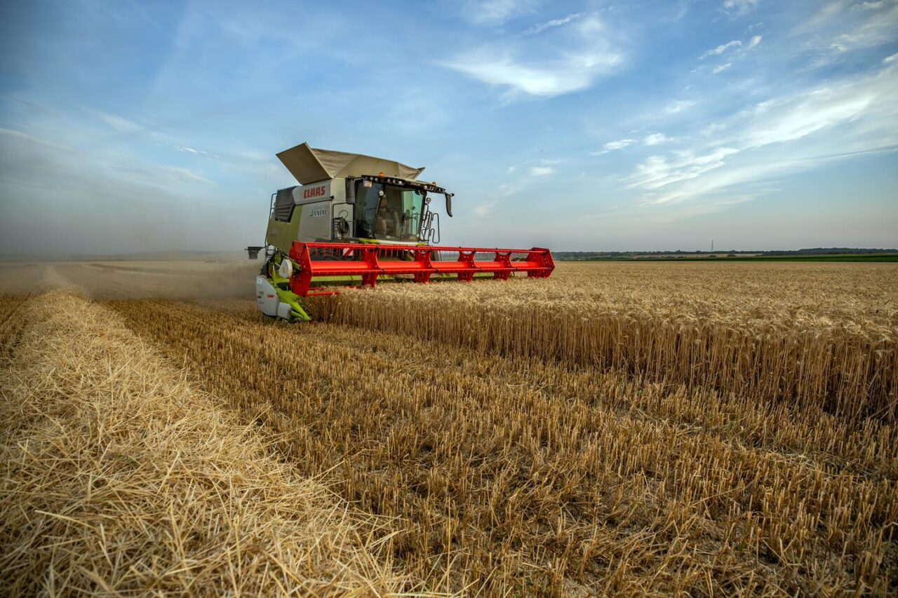 Summer harvest Hungary