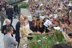 Venice international film festival