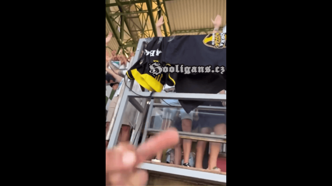 violent clashes swedish hungarian fans