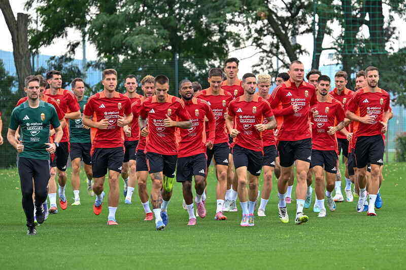 Hungarian National football team Ireland