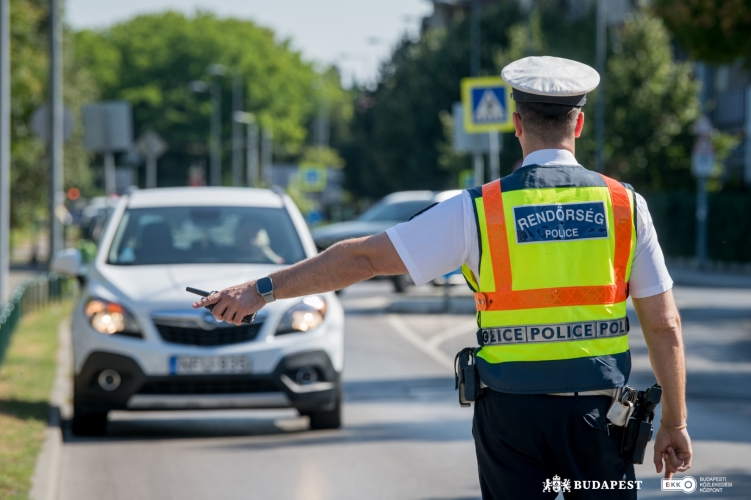 Traffic police fines car