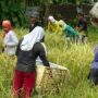 filipino workers asia foreign guest workers